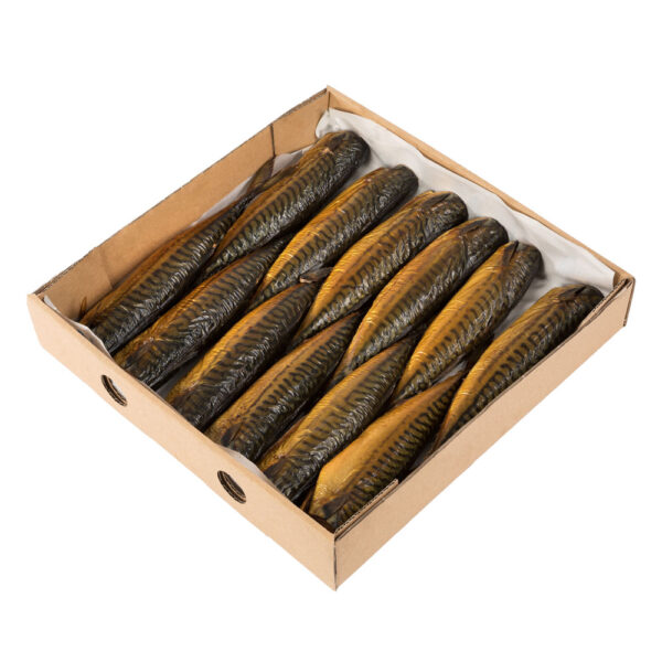 makrela wędzona karton - producent ryb wędzonych